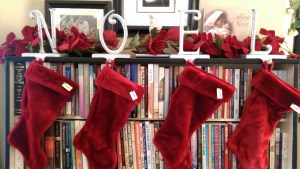 NOEL Christmas Stockings bookcase